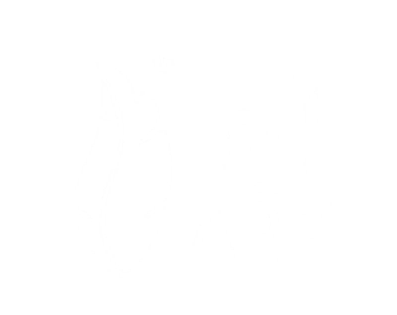 ARM ARTS Media Production logo